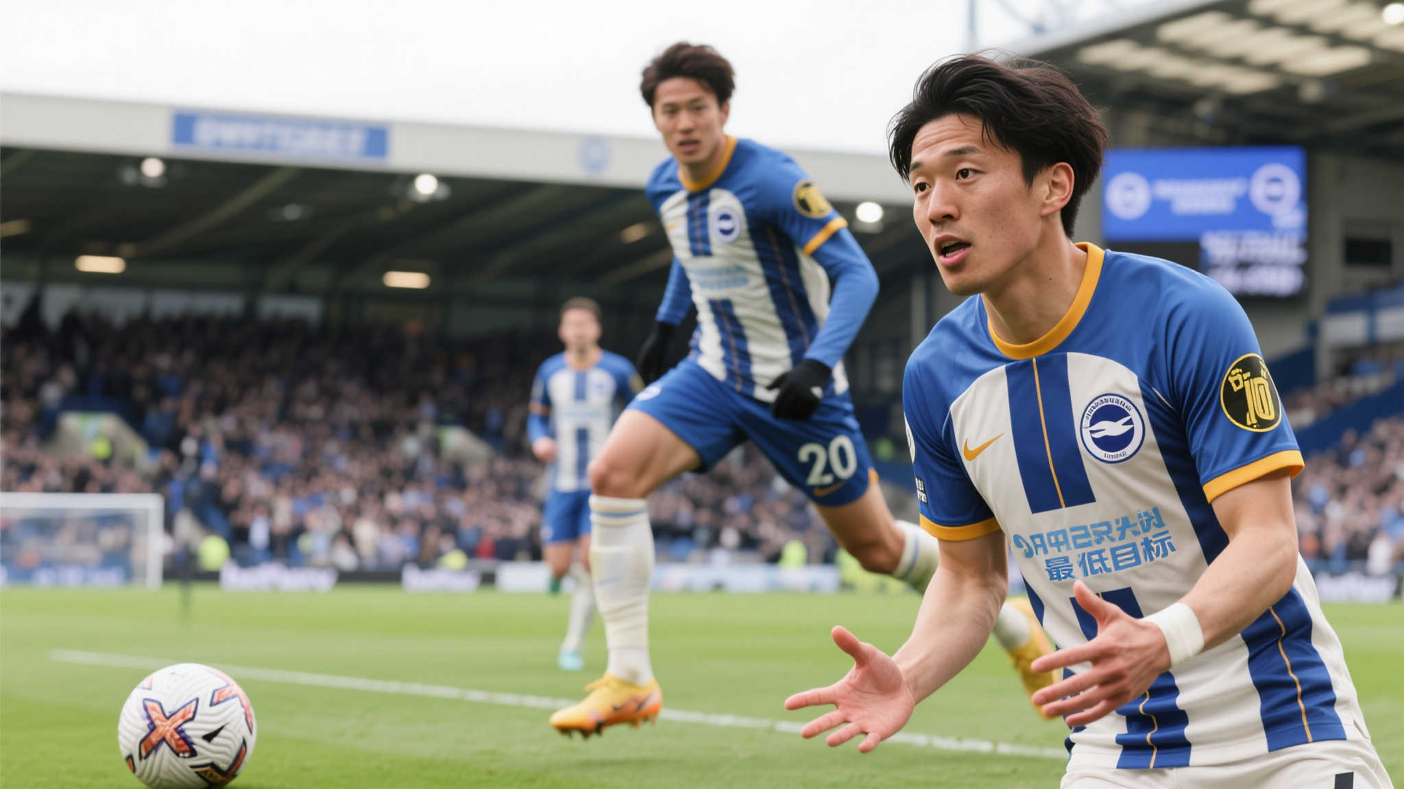 hth 华体会注册送彩金